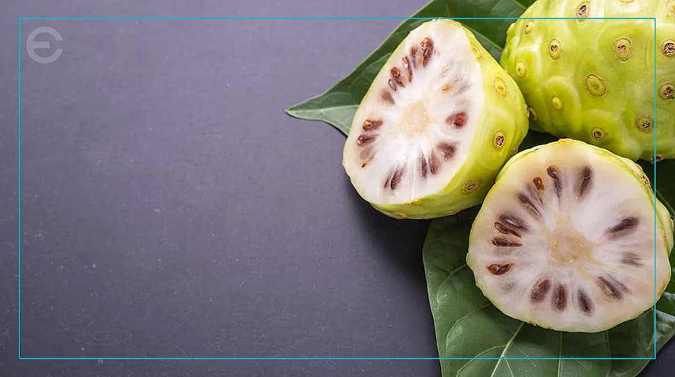 NONI BLOG