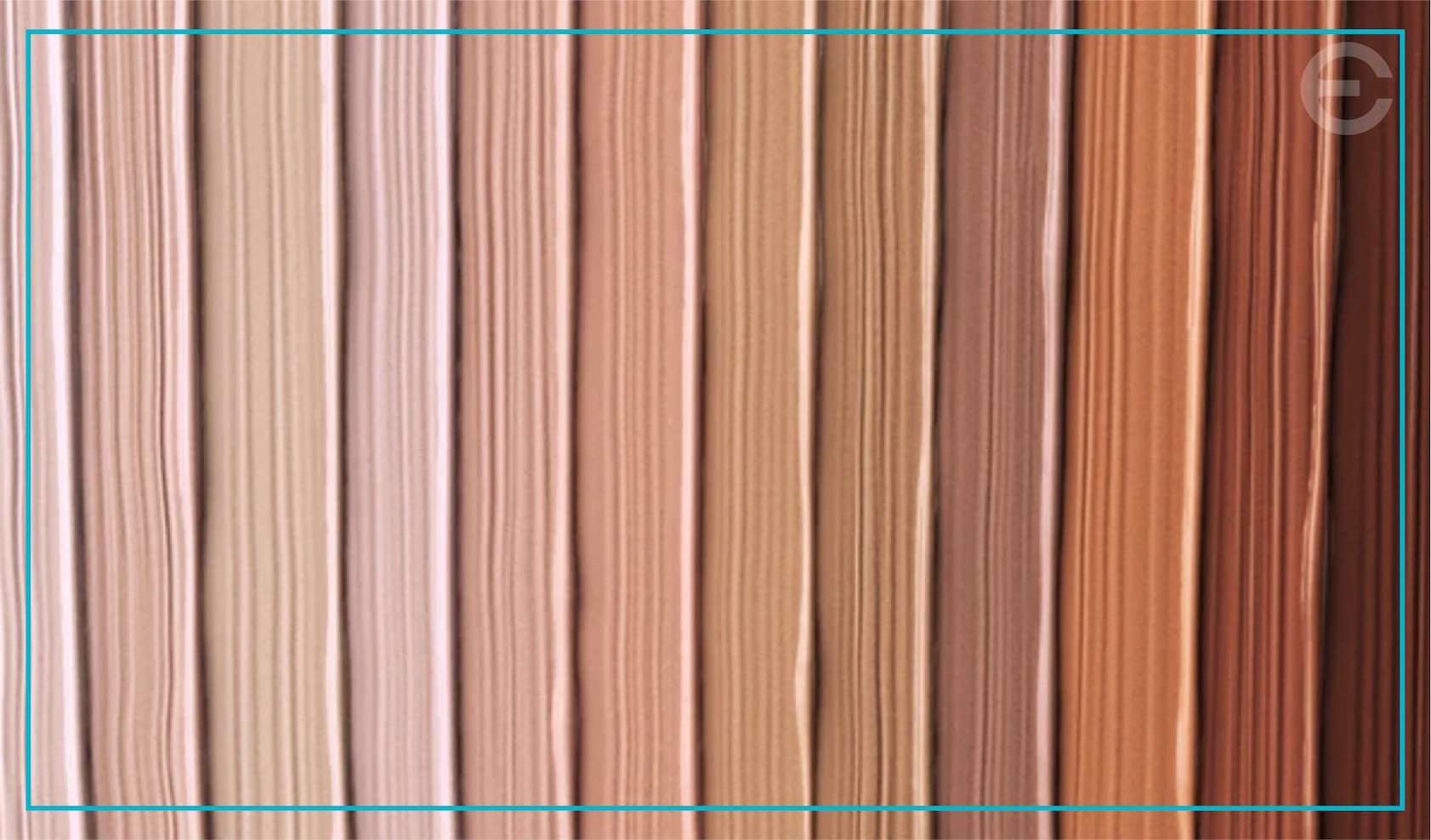 SKIN TONE BLOG