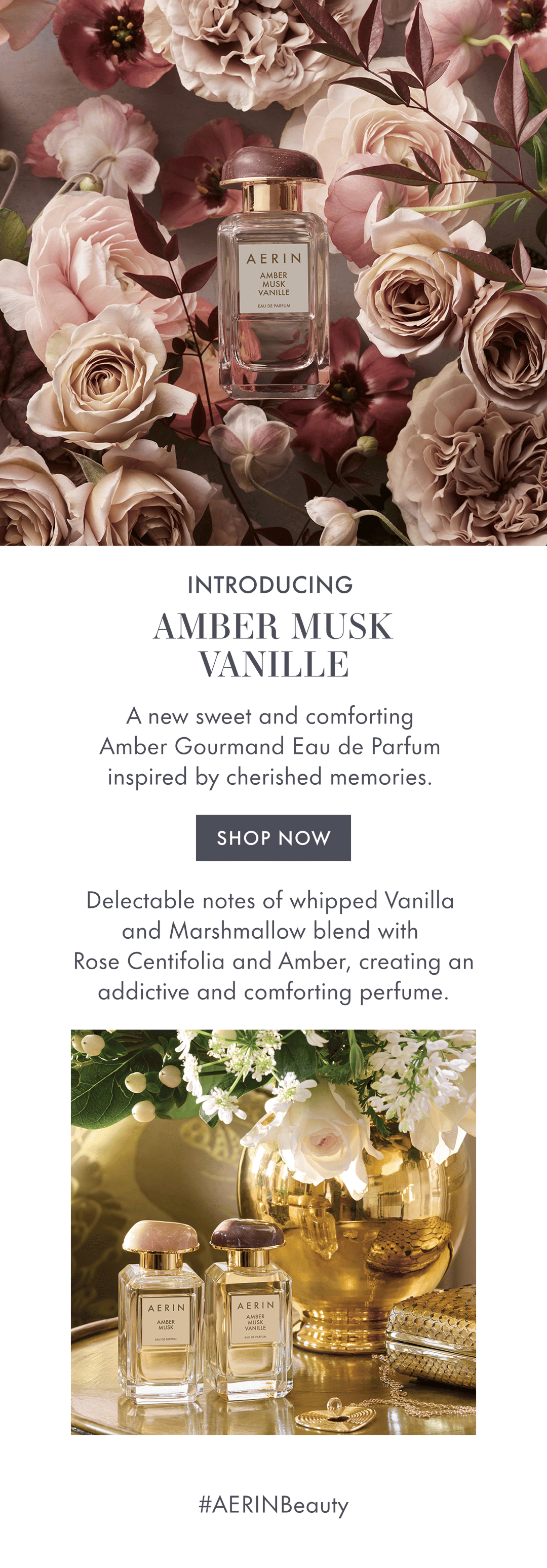 INTRODUCING AMBER MUSK VANILLE. A new sweet and comforting Amber Gormound Eau de Parfum inspired by cherished memories. SHOP NOW. Delectable notes of whipped vanilla and Marshmellow blend with Rose Centifolia and Amber, creating an addictive and comforting perfume. #AERINBEAUTY 