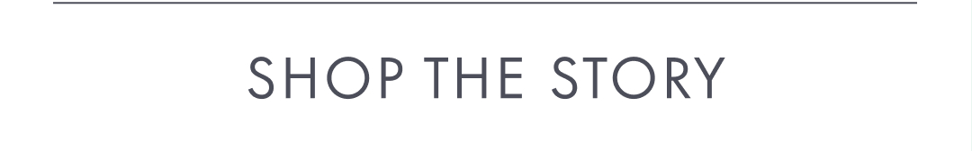 Shop The Story