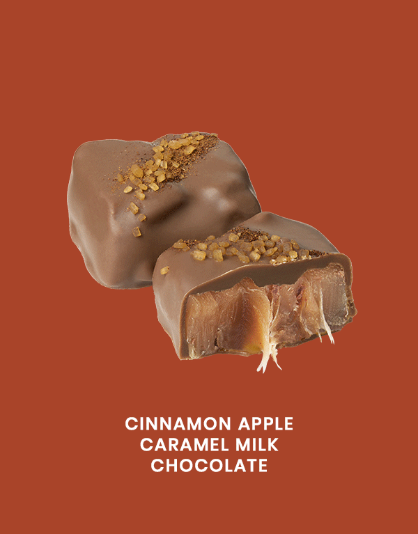 Cinnamon Apple Milk Chocolate Gem