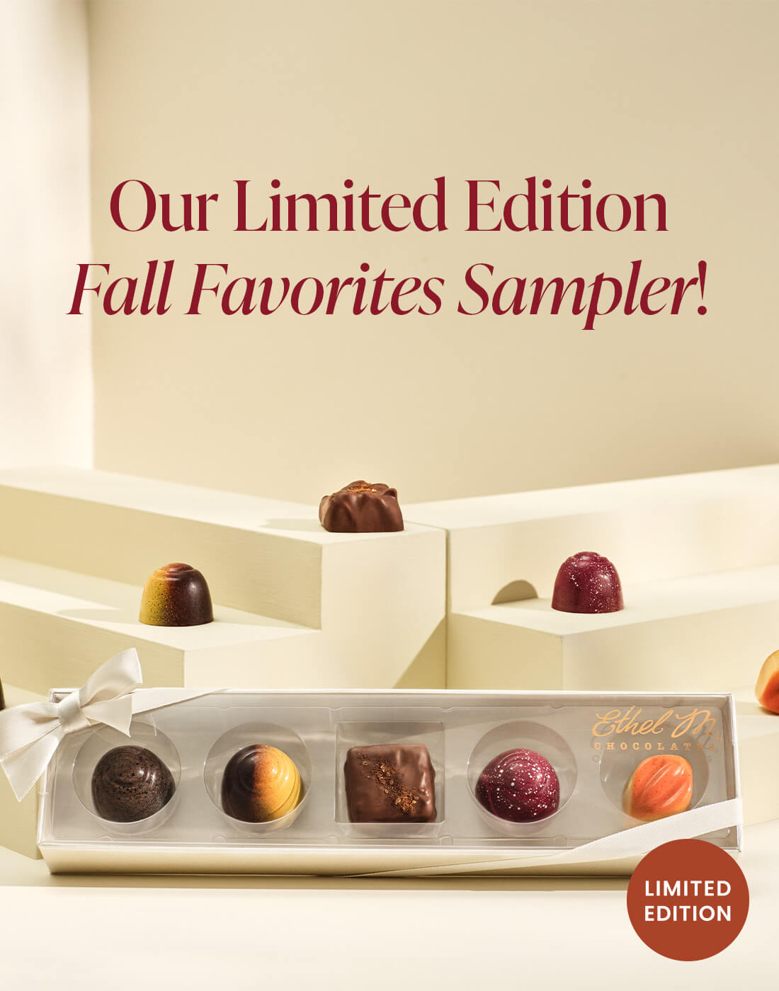Our Limited Edition Fall Favorites Sampler!
