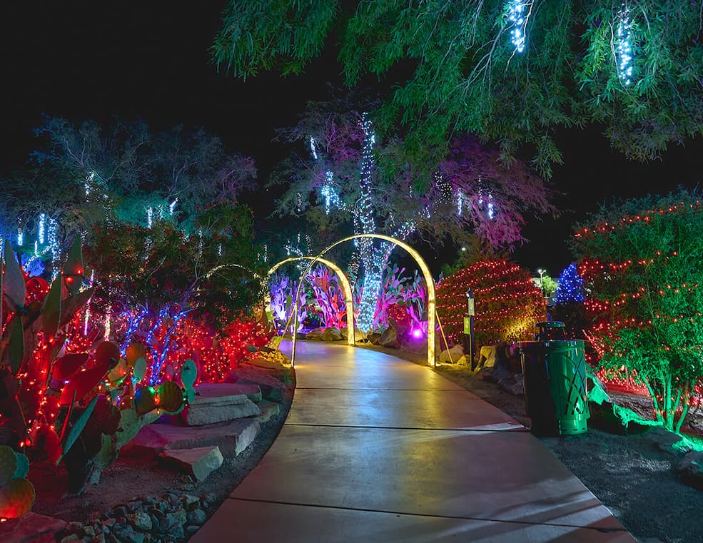 Ethel M Chocolates 2025 Holiday Cactus Garden Lights