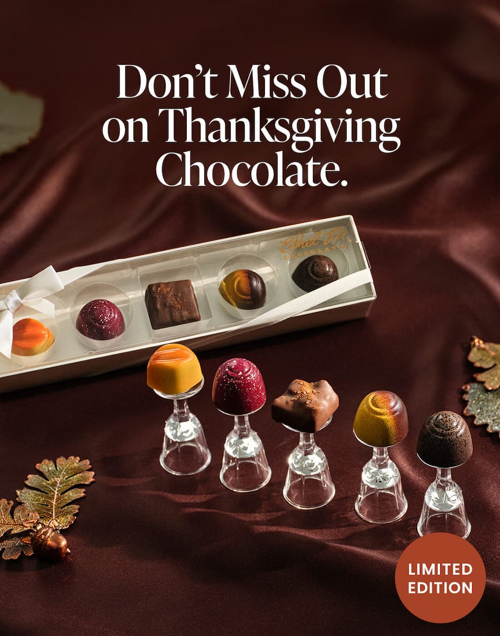 Don't Miss Out on Thanksgiving Chocolate.