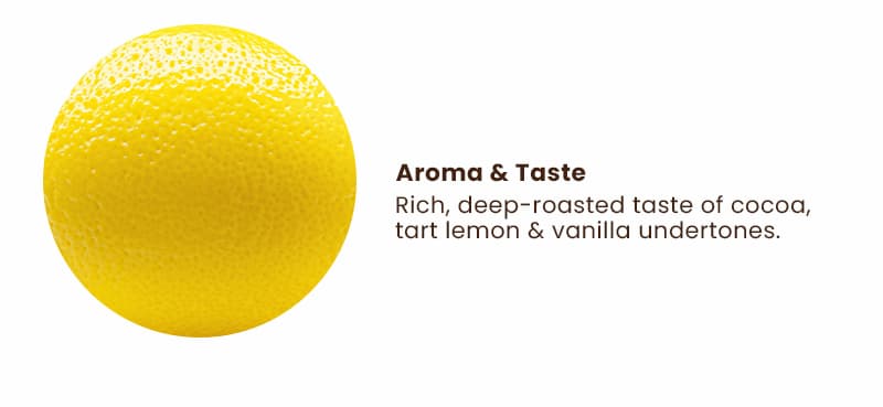 Aroma & Taste. Rich, deep-roasted taste of cocoa, tart lemon & vanilla undertones.