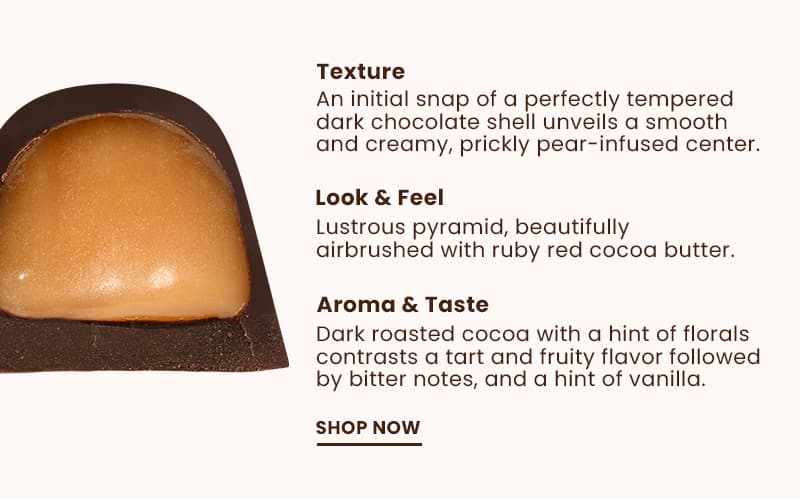 Explore the texture, look & feel, and aroma & taste of our Dark Chocolate Prickly Pear Chocolate Gem.