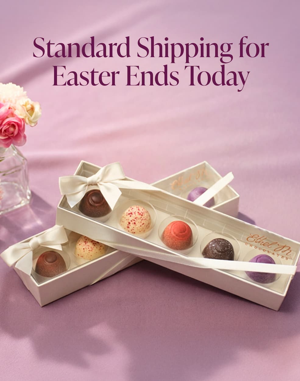Standard Shipping Ends Today!