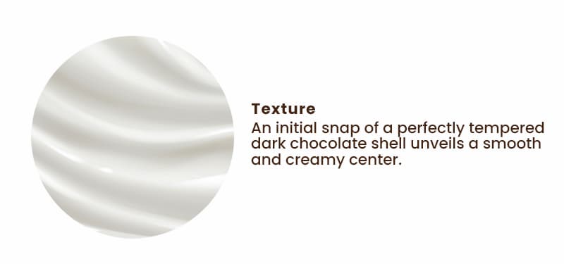 Texture: An initial snap of a perfectly tempered dark chocolate shell unveils a smooth and creamy center.