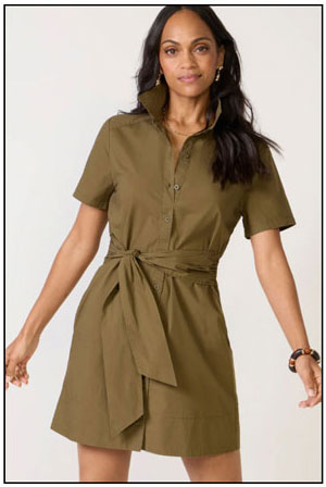 SHOP Perry Mini Dress