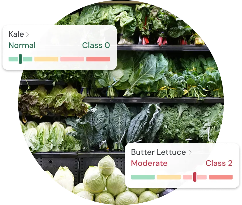 Food Sensitivity Comprehensive Test