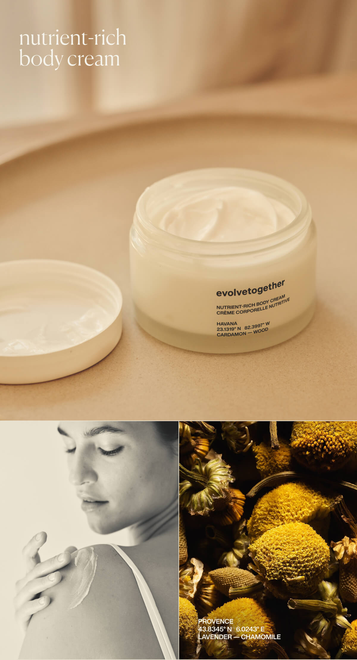 nutrient-rich body cream | Provence | 43.8345° N  6.0243° E | Lavender — Chamomile