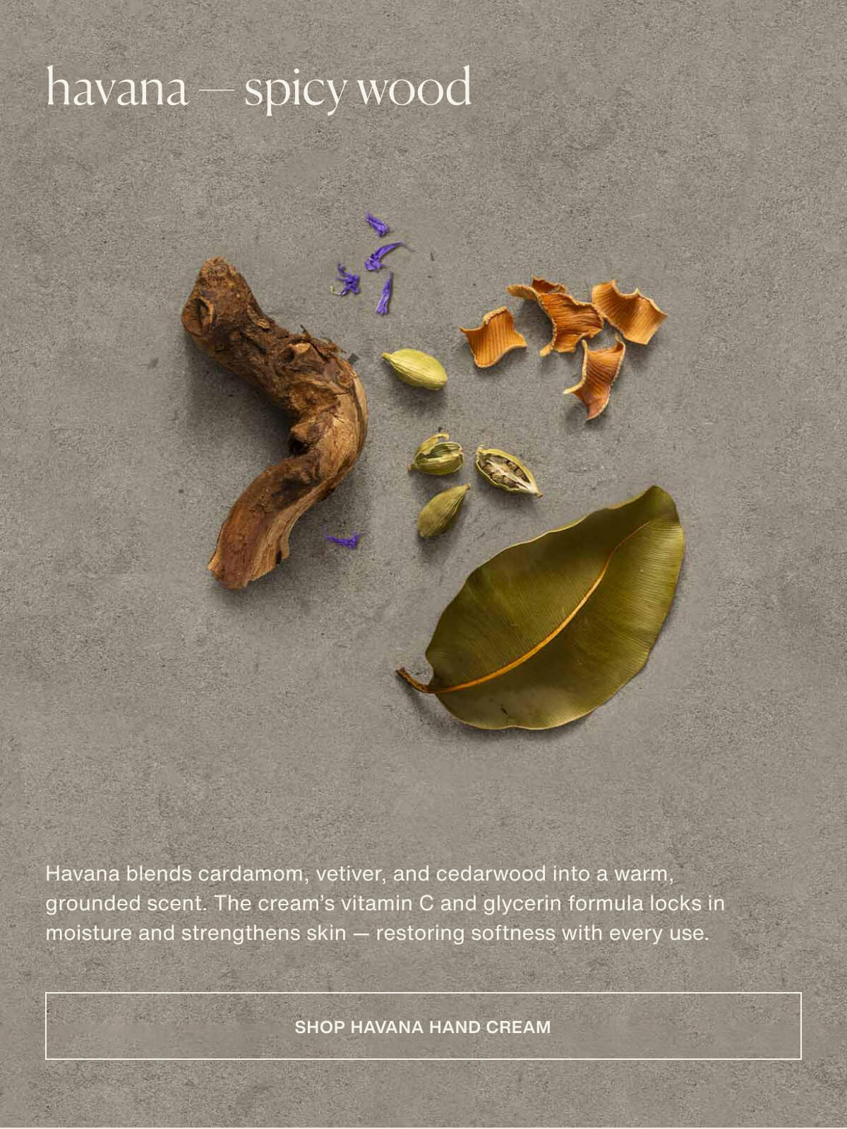 havana — spicy wood | Havana blends cardamom, vetiver, and cedarwood into a warm, grounded scent. The cream’s vitamin C and glycerin formula locks in moisture and strengthens skin — restoring softness with every use. | [ Shop Havana Hand Cream ]