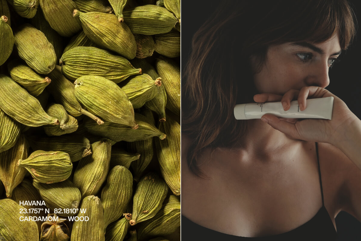 Havana | 23.1757° N 82.1810° W | Cardamom — Wood