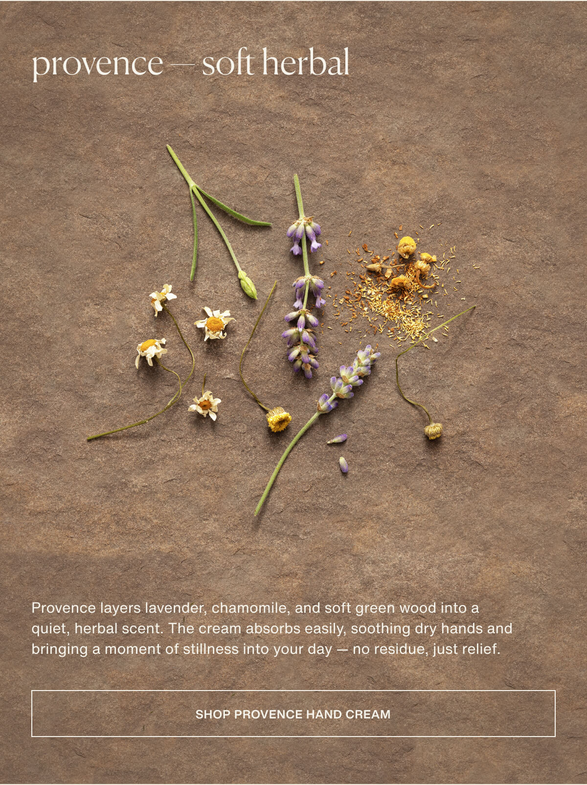 provence — soft herbal | Provence layers lavender, chamomile, and soft green wood into a quiet, herbal scent. The cream absorbs easily, soothing dry hands and bringing a moment of stillness into your day — no residue, just relief. | [ Shop Provence Hand Cream ]