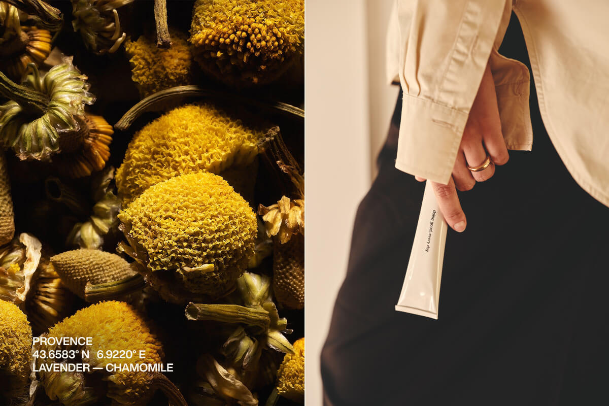 Provence | 43.6583° N 6.9220° E | Lavender — Chamomile