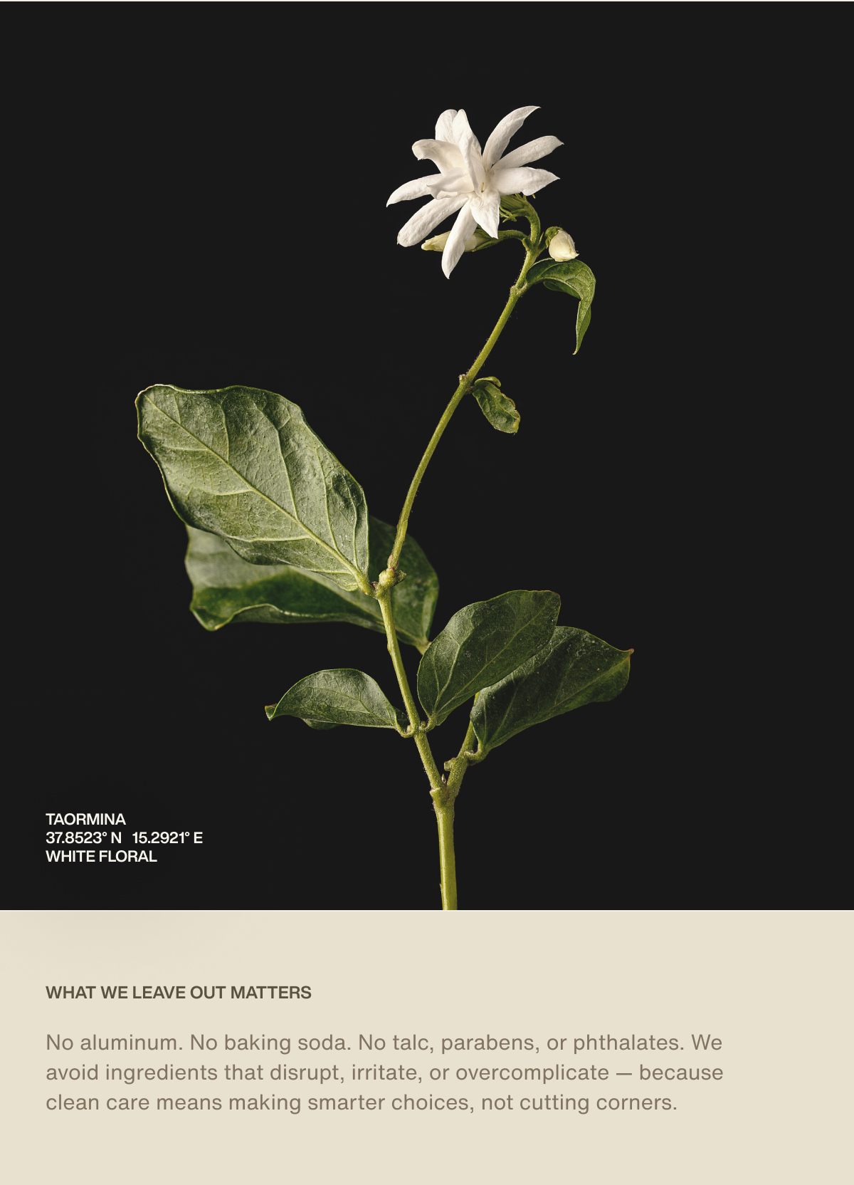 Taormina | 37.8523° N 15.2921° E | White Floral | What we leave out matters | No aluminum. No baking soda. No talc, parabens, or phthalates. We avoid ingredients that disrupt, irritate, or overcomplicate — because clean care means making smarter choices, not cutting corners.