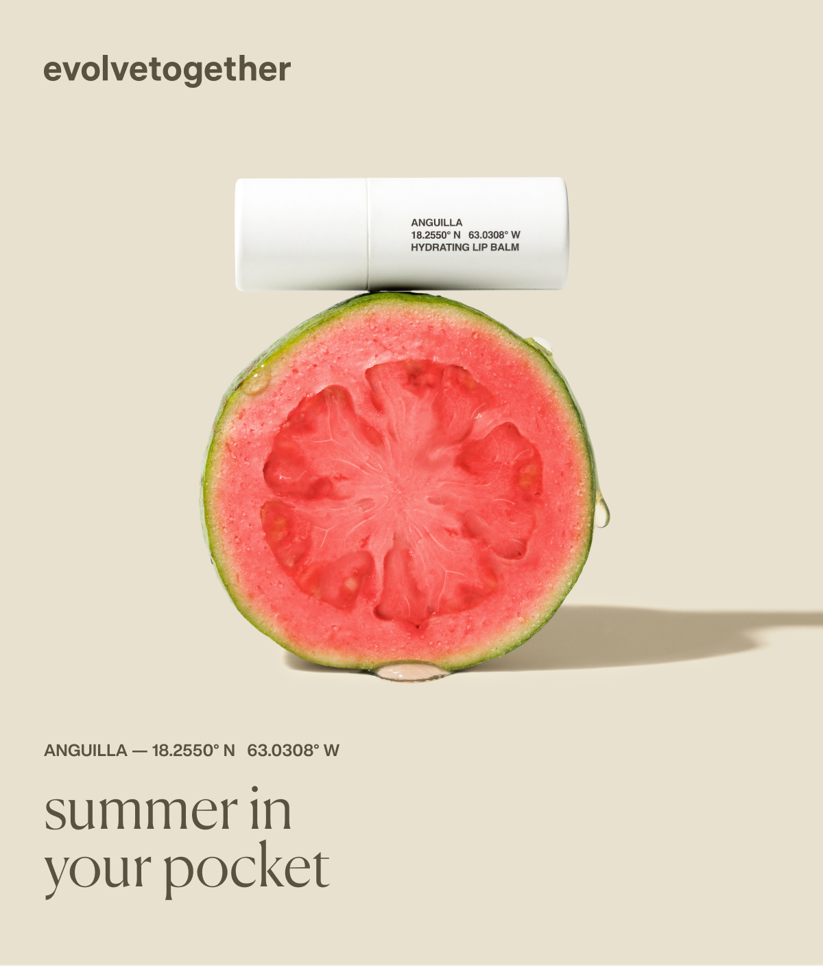 evolvetogether | Anguilla — 18.2550° N 63.0308° W | summer in your pocket