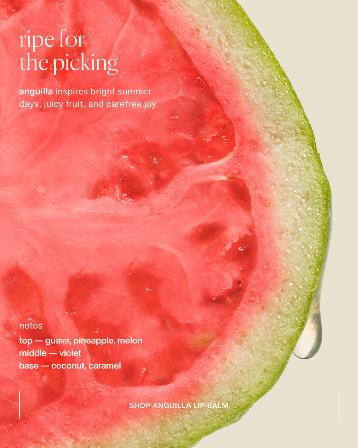 ripe for the picking | anguilla inspires bright summer days, juicy fruit, and carefree joy | notes | top — guava, pineapple, melon | middle — violet | base — coconut, caramel | [ SHOP ANGUILLA LIP BALM ]