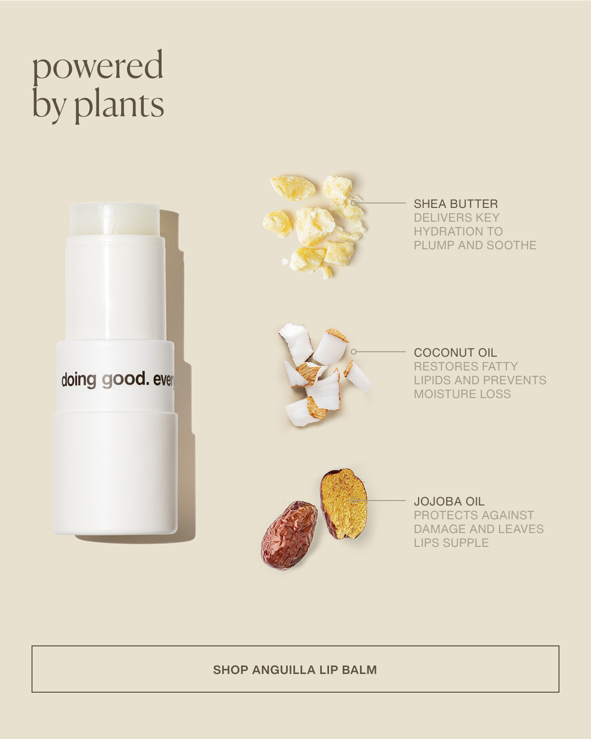 powered by plants | Shea butter | delivers key hydration to plump and soothe | Coconut oil | restores fatty lipids and prevents moisture loss | Jojoba oil | protects against damage and leaves lips supple | [ SHOP ANGUILLA LIP BALM ]