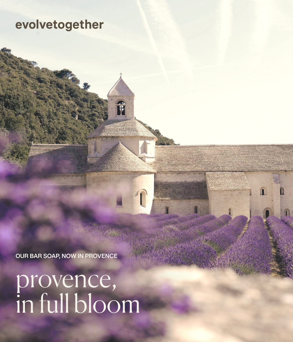 evolvetogether | Our bar soap, now in Provence | provence, in full bloom