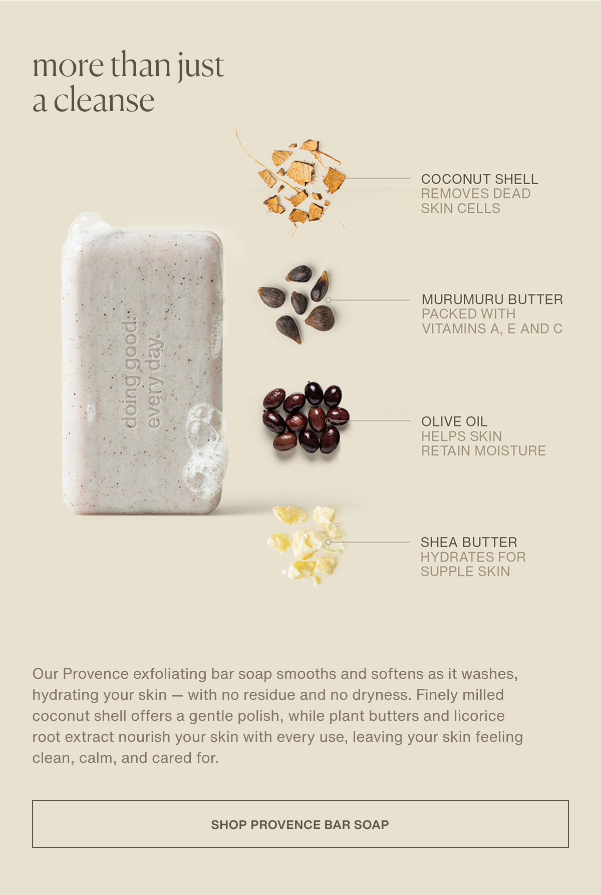 more than just a cleanse | coconut shell | removes dead skin cells | murumuru butter | packed with vitamins a, e and c | olive oil | helps skin retain moisture | shea butter | hydrates for supple skin | Our Provence exfoliating bar soap smooths and softens as it washes, hydrating your skin — with no residue and no dryness. Finely milled coconut shell offers a gentle polish, while plant butters and licorice root extract nourish your skin with every use, leaving your skin feeling clean, calm, and cared for. | [ shop provence bar soap ]
