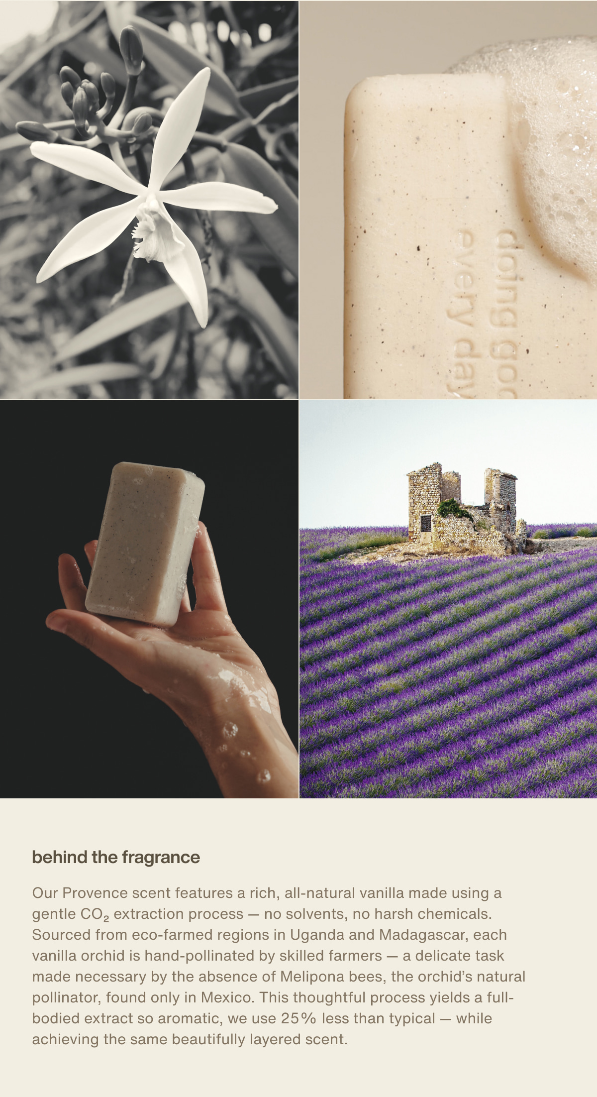 behind the fragrance | Our Provence scent features a rich, all-natural vanilla made using a gentle CO₂ extraction process — no solvents, no harsh chemicals. Sourced from eco-farmed regions in Uganda and Madagascar, each vanilla orchid is hand-pollinated by skilled farmers — a delicate task made necessary by the absence of Melipona bees, the orchid’s natural pollinator, found only in Mexico. This thoughtful process yields a full-bodied extract so aromatic, we use 25% less than typical — while achieving the same beautifully layered scent.