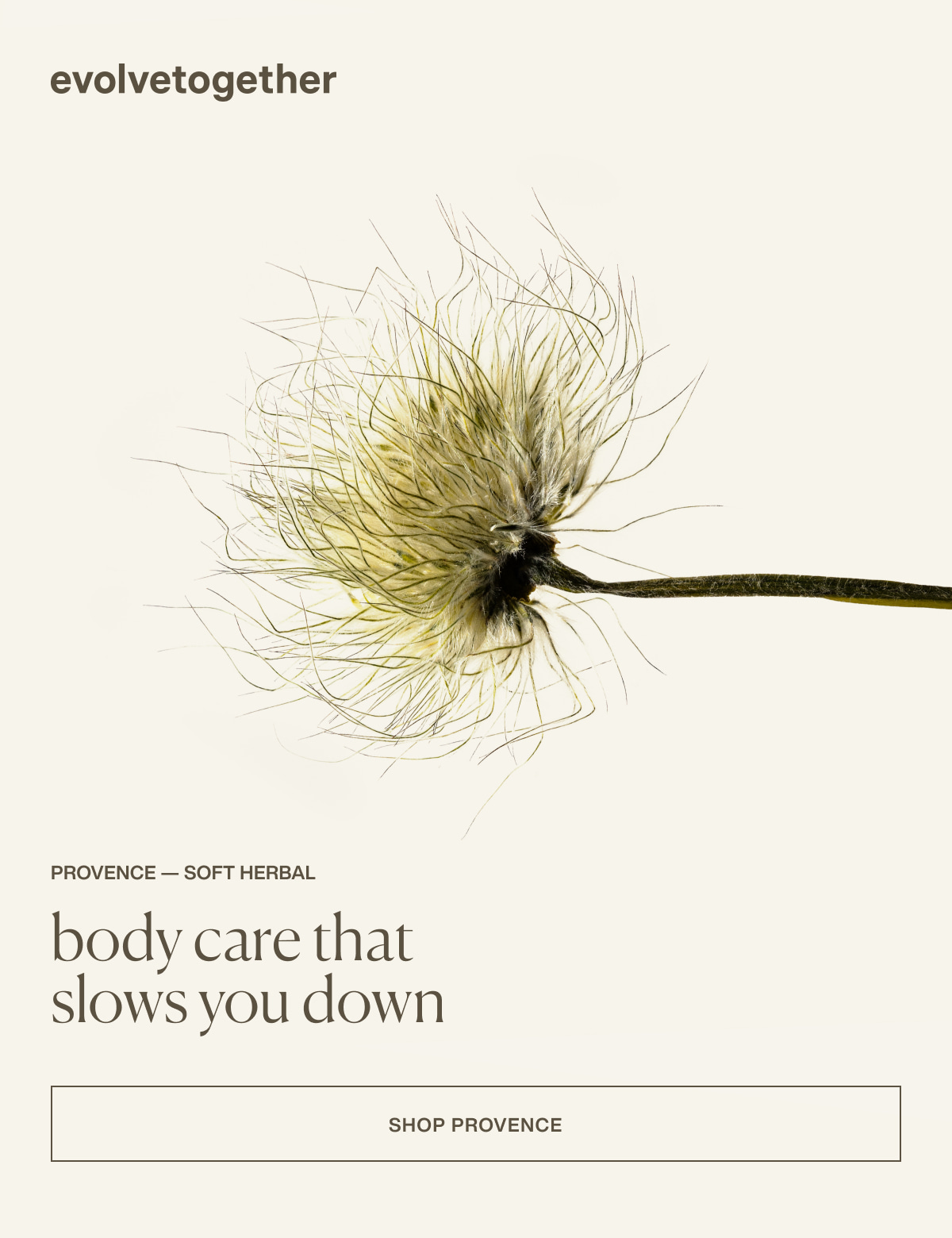 evolvetogethe | provence — soft herbal | body care that slows you down | [ Shop Provence ]