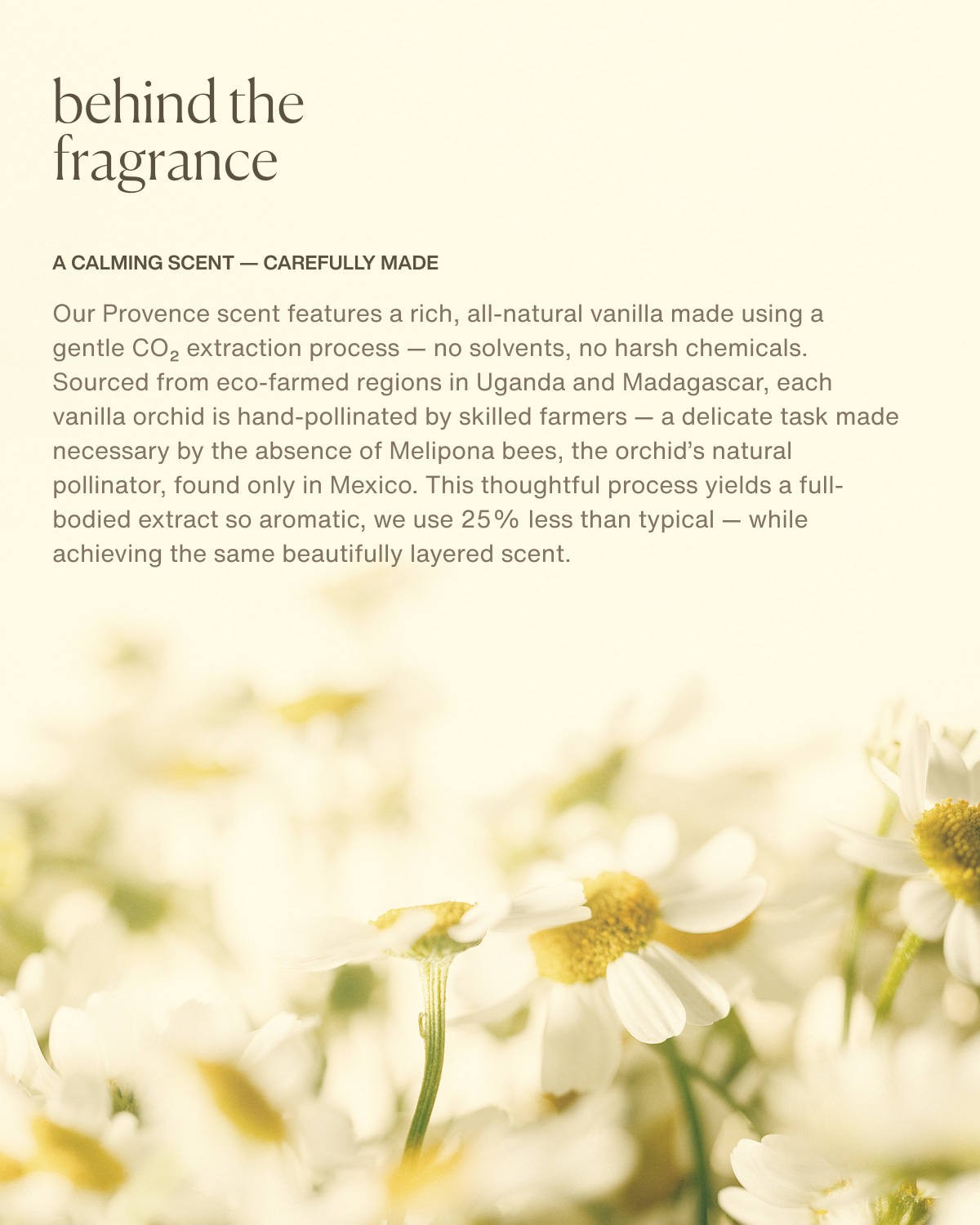 behind the fragrance | A calming scent — carefully made | Our Provence scent features a rich, all-natural vanilla made using a gentle CO₂ extraction process — no solvents, no harsh chemicals. Sourced from eco-farmed regions in Uganda and Madagascar, each vanilla orchid is hand-pollinated by skilled farmers — a delicate task made necessary by the absence of Melipona bees, the orchid’s natural pollinator, found only in Mexico. This thoughtful process yields a full-bodied extract so aromatic, we use 25% less than typical — while achieving the same beautifully layered scent.