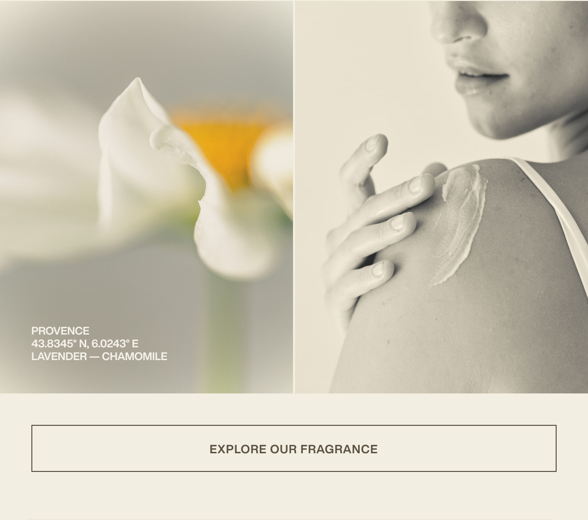 Provence | 43.8345° N, 6.0243° E | Lavender — Chamomile | [ Explore Our Fragrance ]