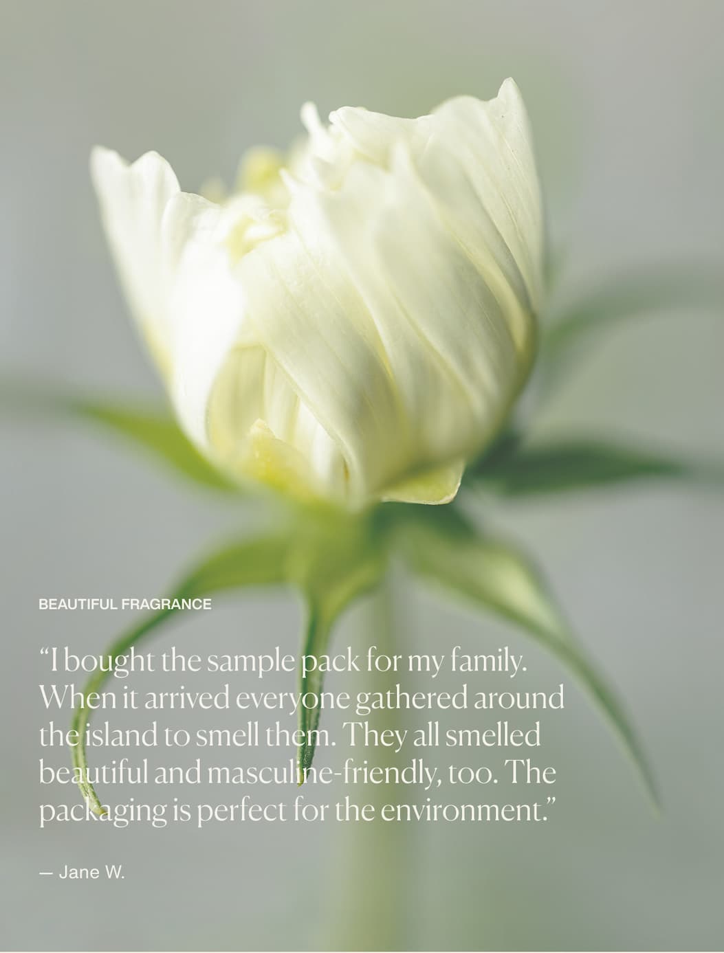 Beautiful Fragrance | “I bought the sample pack for my family. When it arrived everyone gathered around the island to smell them. They all smelled beautiful and masculine-friendly, too.  The packaging is perfect for the environment.” — Jane W.