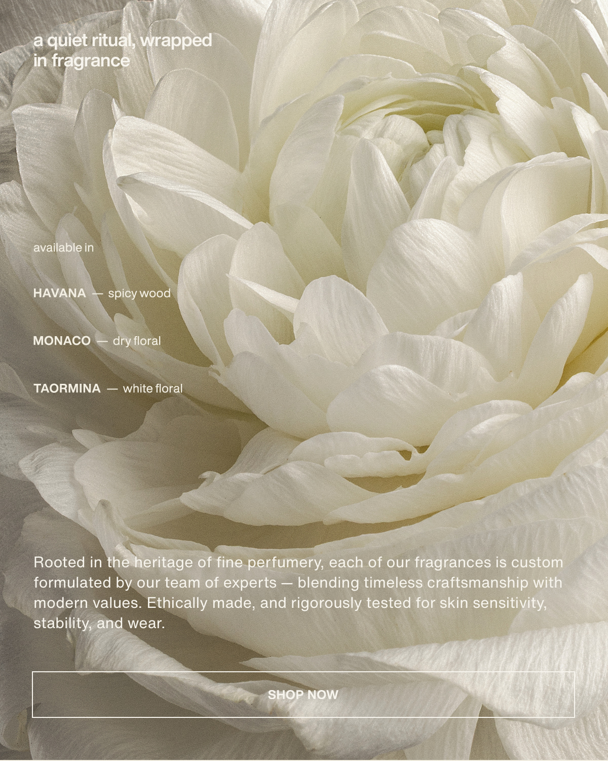 a quiet ritual, wrapped  in fragrance | available in havana - spicy wood | monaco - dry floral | taormina - white floral | Rooted in the heritage of fine perfumery, each of our fragrances is custom formulated by our team of experts — blending timeless craftsmanship with modern values. Ethically made, and rigorously tested for skin sensitivity, stability, and wear. | [ shop now ]