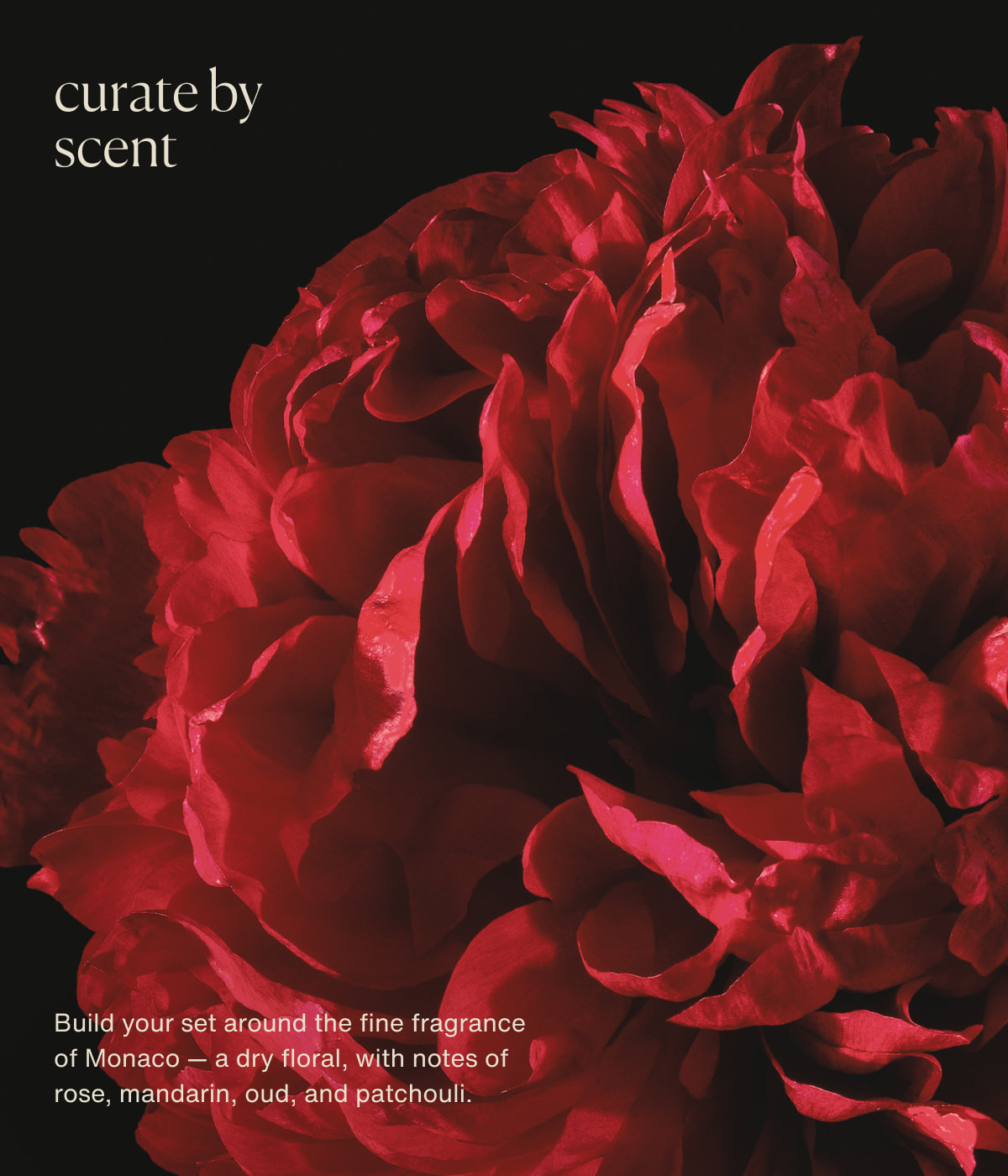 curate by scent | Build your set around the fine fragrance of Monaco — a dry floral, with notes of rose, mandarin, oud, and patchouli.
