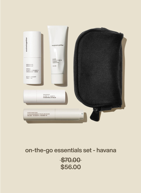 on-the-go essentials set - havana | $56.00