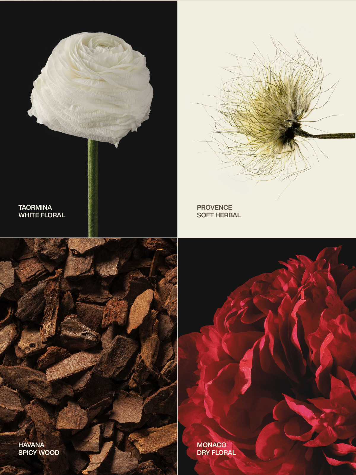taormina | white floral | provence | soft herbal | havana | spicy wood | monaco | dry floral