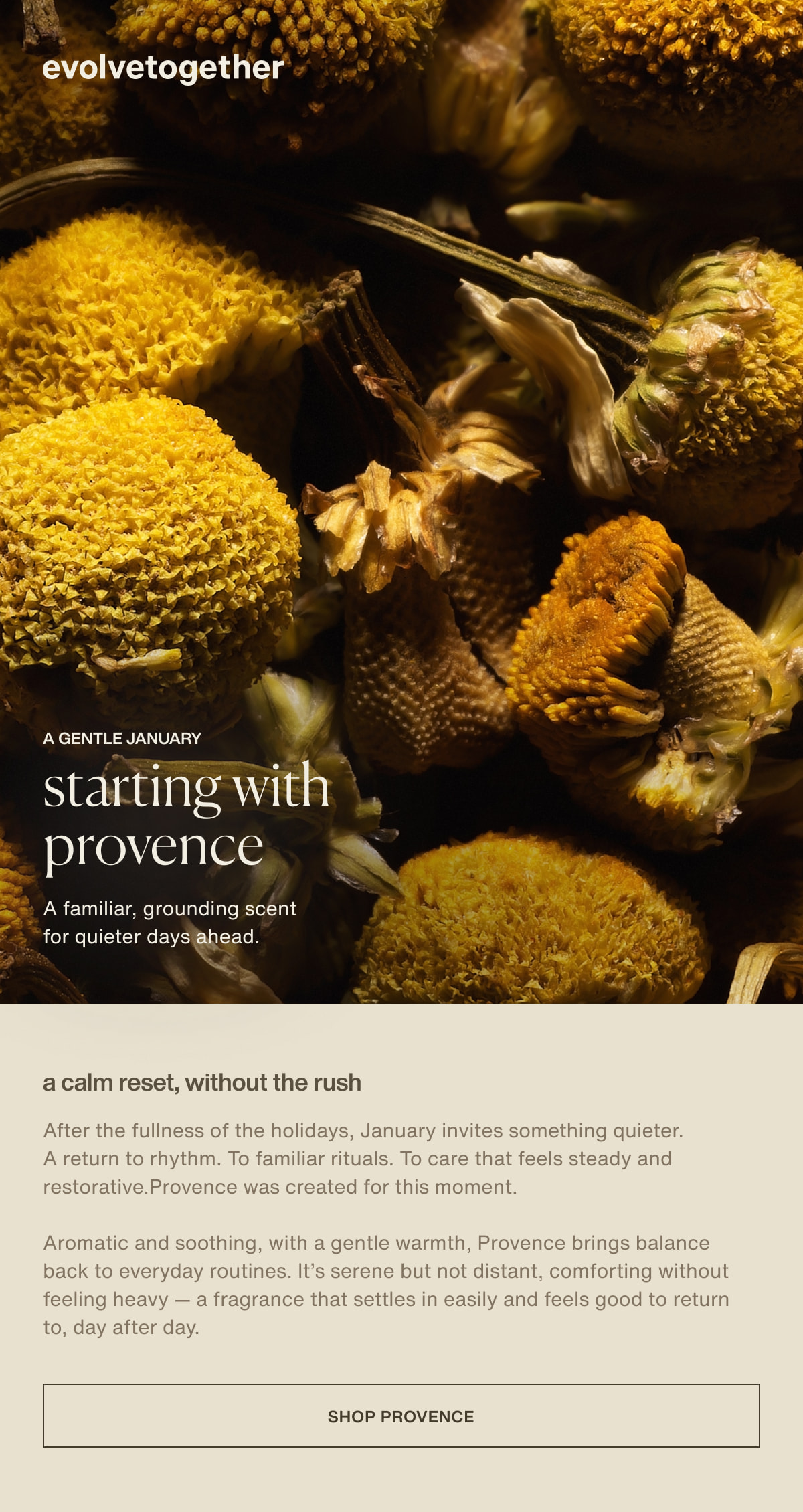 evolvetogether | a gentle january | starting with provence | A familiar, grounding scent for quieter days ahead. | A calm reset, without the rush | After the fullness of the holidays, January invites something quieter. A return to rhythm. To familiar rituals. To care that feels steady and restorative.Provence was created for this moment. | Aromatic and soothing, with a gentle warmth, Provence brings balance back to everyday routines. It’s serene but not distant, comforting without feeling heavy — a fragrance that settles in easily and feels good to return to, day after day. | [ shop provence ]