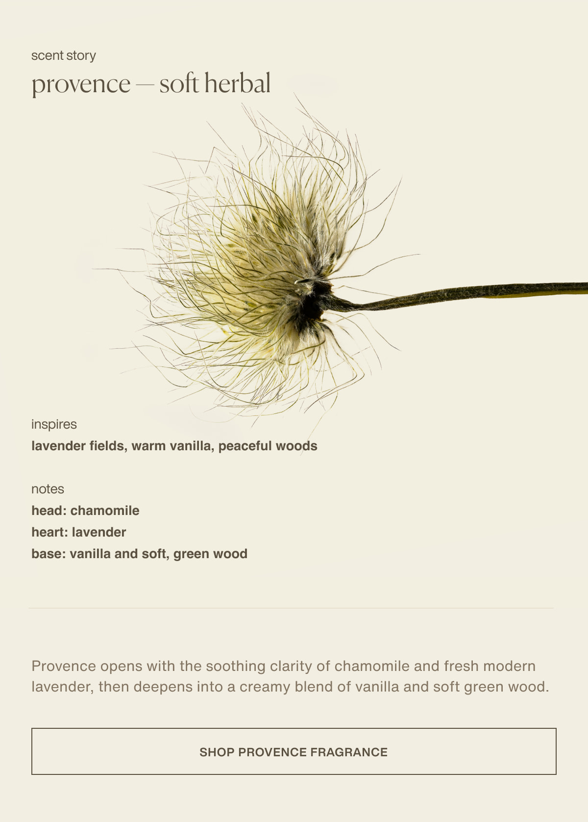 scent story | provence — soft herbal | inspires | lavender fields, warm vanilla, peaceful woods | notes | head: chamomile | heart: lavender | base: vanilla and soft, green wood | Provence opens with the soothing clarity of chamomile and fresh modern lavender, then deepens into a creamy blend of vanilla and soft green wood. | [ shop provence fragrance ]