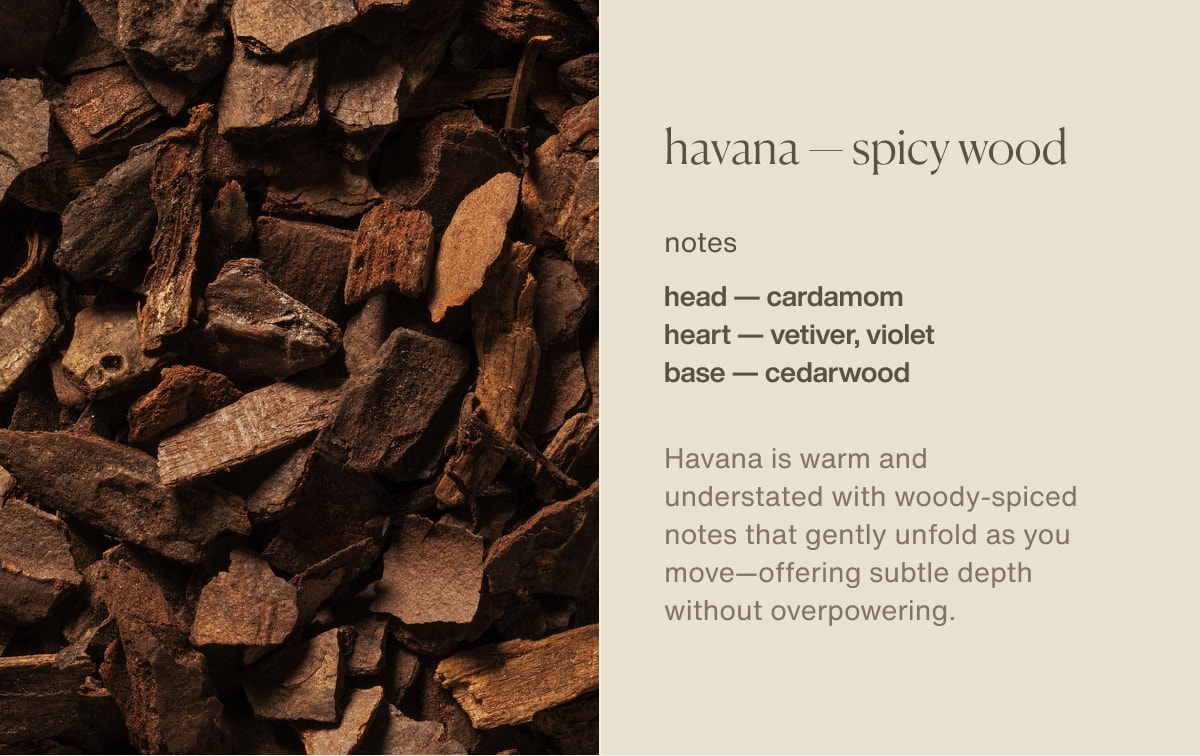 havana — spicy wood | notes | head — cardamom | heart — vetiver, violet | base — cedarwood | Havana&nbsp;is warm and understated with woody-spiced notes that gently unfold as you move—offering subtle depth without overpowering.