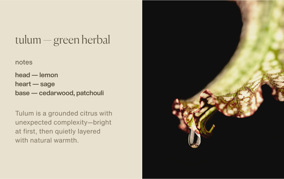 tulum — green herbal | notes | head — lemon | heart — sage | base — cedarwood, patchouli | Tulum&nbsp;is a grounded citrus with unexpected complexity—bright at first, then quietly layered with natural warmth.