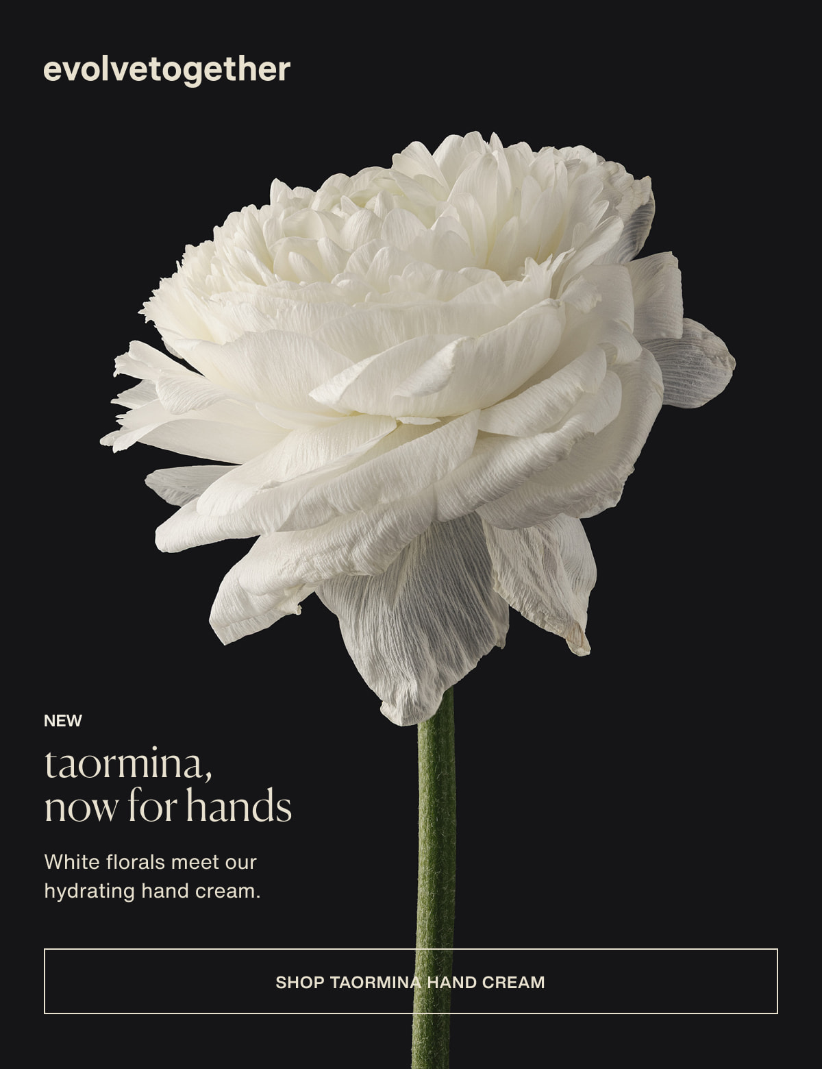 evolvetogether | new | taormina, now for hands | White florals meet our hydrating hand cream. | [ shop taormina hand cream ]