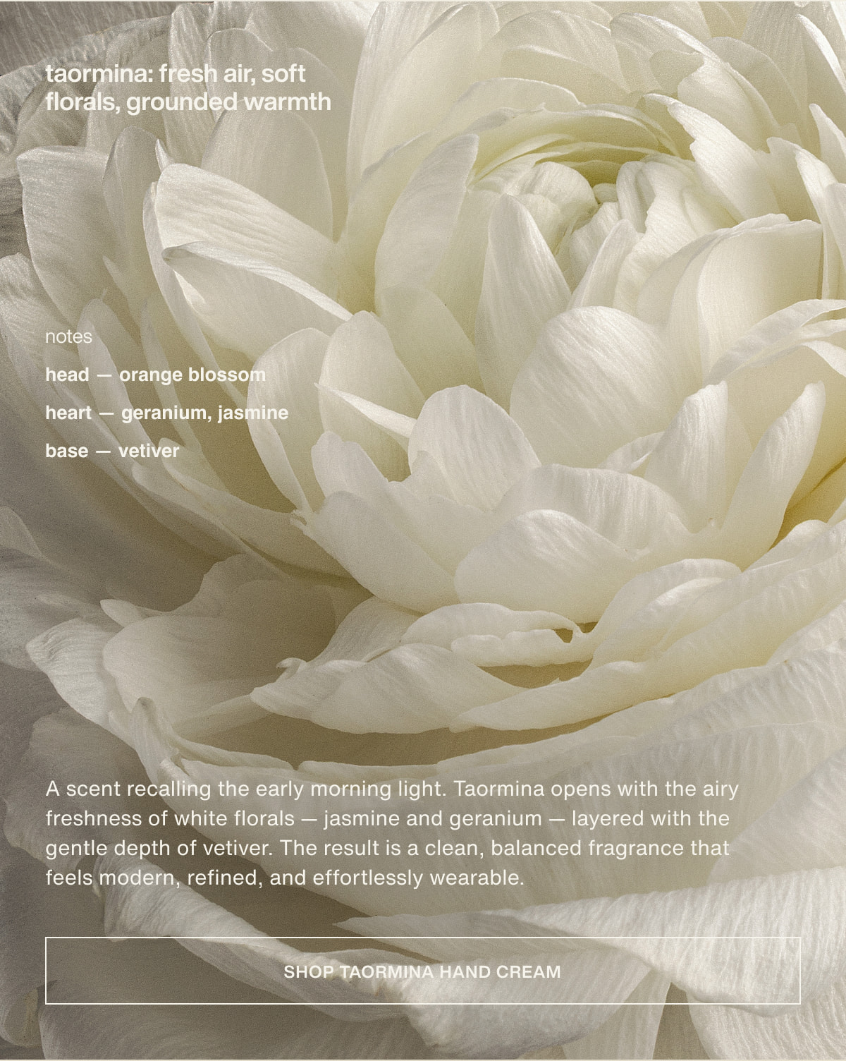 taormina: fresh air, soft florals, grounded warmth | notes | head — orange blossom | heart — geranium, jasmine | base — vetiver | A scent recalling the early morning light. Taormina opens with the airy freshness of white florals — jasmine and geranium — layered with the gentle depth of vetiver. The result is a clean, balanced fragrance that feels modern, refined, and effortlessly wearable. | [ shop taormina hand cream ]
