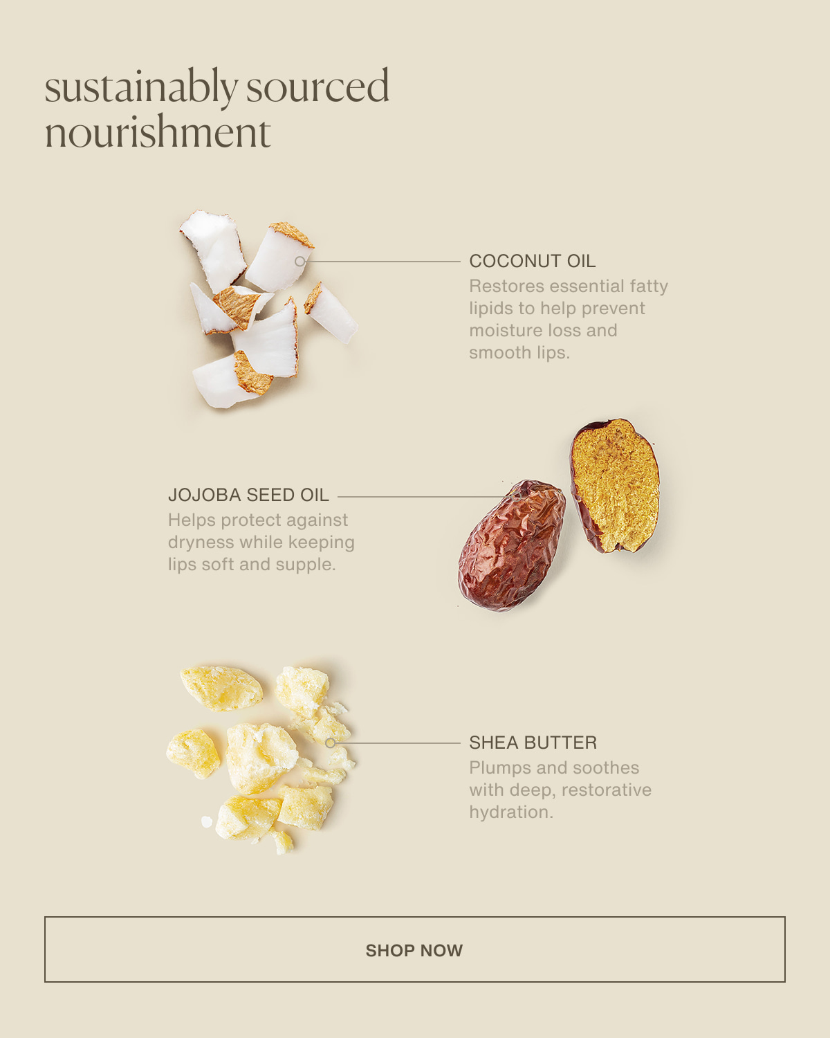 sustainably sourced nourishment | Coconut oil | Restores essential fatty lipids to help prevent moisture loss and smooth lips. | Jojoba seed oil | Helps protect against dryness while keeping lips soft and supple. | Shea butter | Plumps and soothes with deep, restorative hydration. | [ shop now ]
