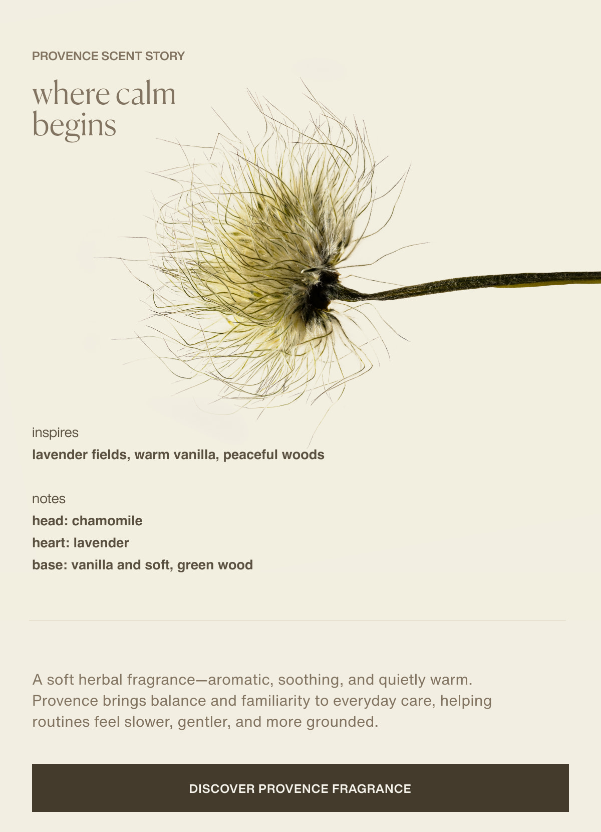 Provence Scent Story | where calm begins | inspires | lavender fields, warm vanilla, peaceful woods | notes | head: chamomile | heart: lavender | base: vanilla and soft, green wood | A soft herbal fragrance—aromatic, soothing, and quietly warm. Provence brings balance and familiarity to everyday care, helping routines feel slower, gentler, and more grounded. | [ discover provence fragrance ]