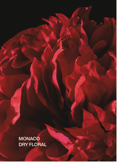 monaco | dry floral