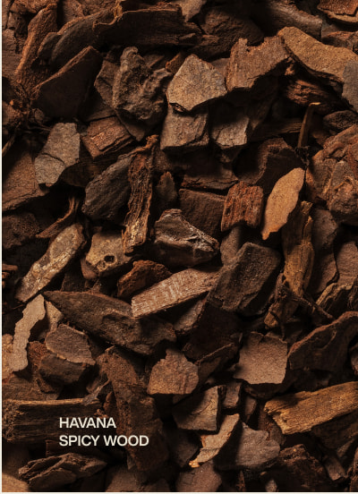 havana | spicy wood