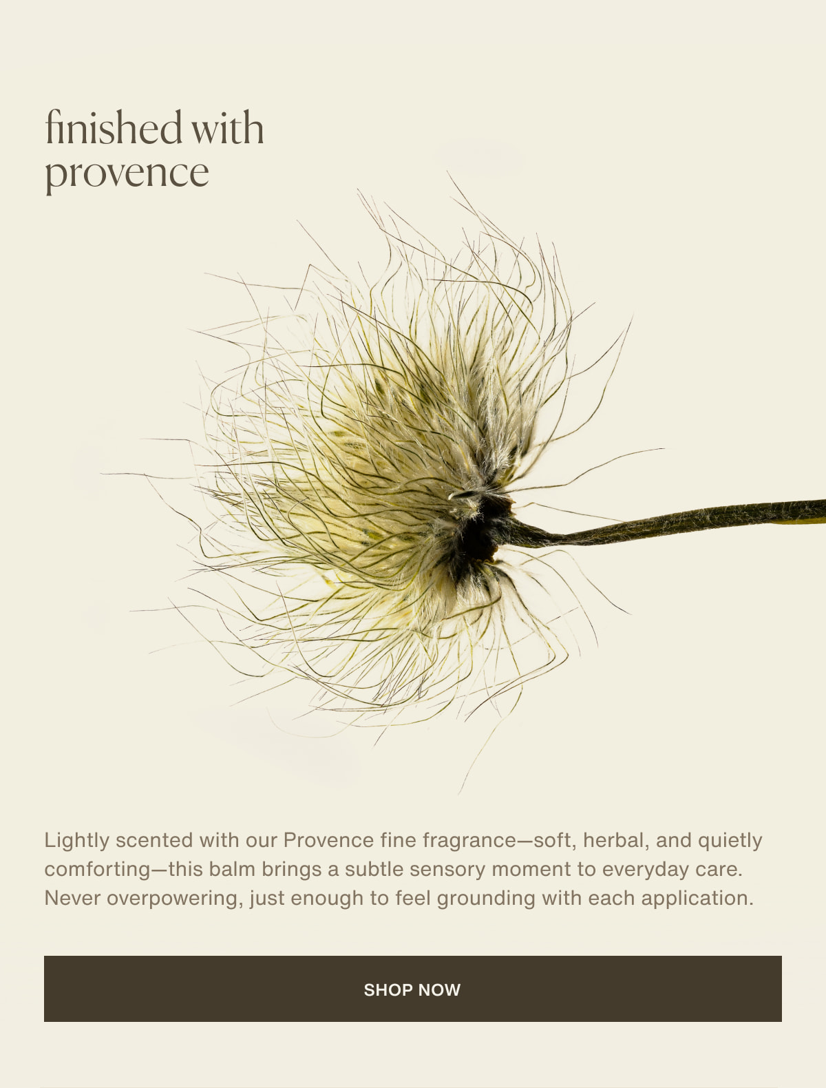 finished with provence | Lightly scented with our Provence fine fragrance—soft, herbal, and quietly comforting—this balm brings a subtle sensory moment to everyday care. Never overpowering, just enough to feel grounding with each application. | [ shop now ]