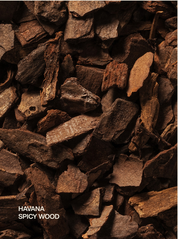 havana | spicy wood