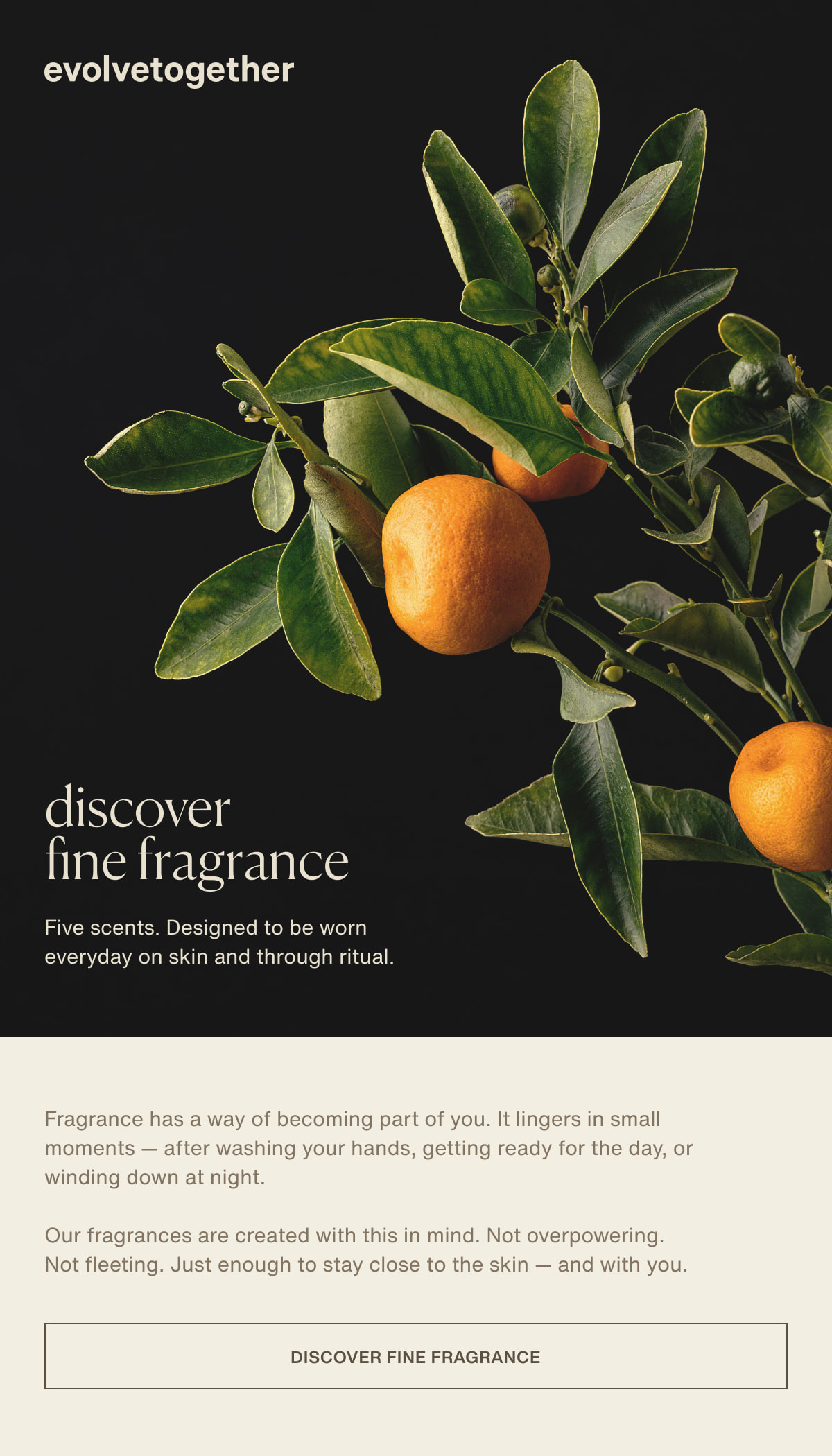 evolvetogether | discover fine fragrance | Five scents. Designed to be worn everyday on skin and through ritual. | Fragrance has a way of becoming part of you. It lingers in small moments — after washing your hands, getting ready for the day, or winding down at night. | Our fragrances are created with this in mind. Not overpowering. Not fleeting. Just enough to stay close to the skin — and with you. | [ discover fine fragrance ]