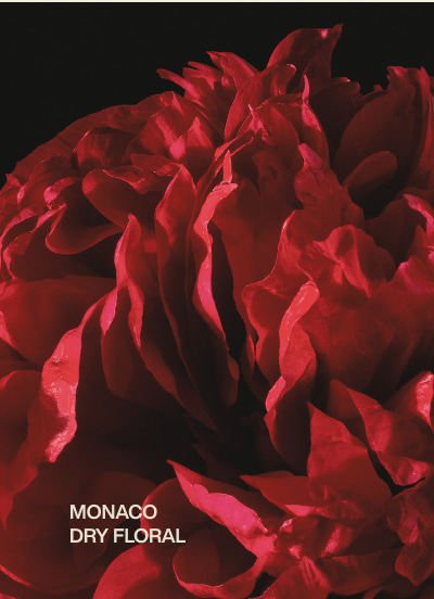 monaco | dry floral