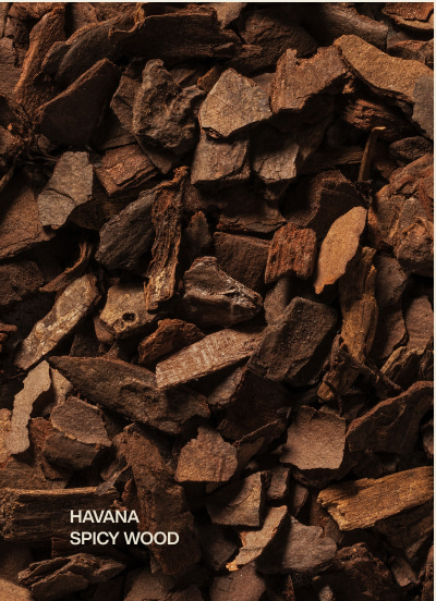 havana | spicy wood