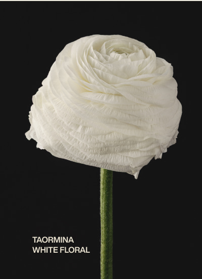 taormina | white floral